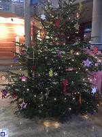 Weihnachtsbaum im Lichthof
